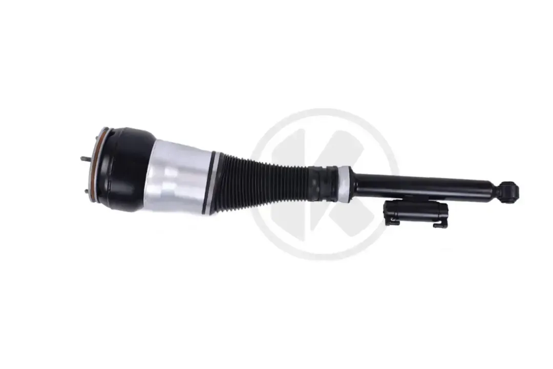 AIR SUSPENSION STRUT Repl. A2223205901